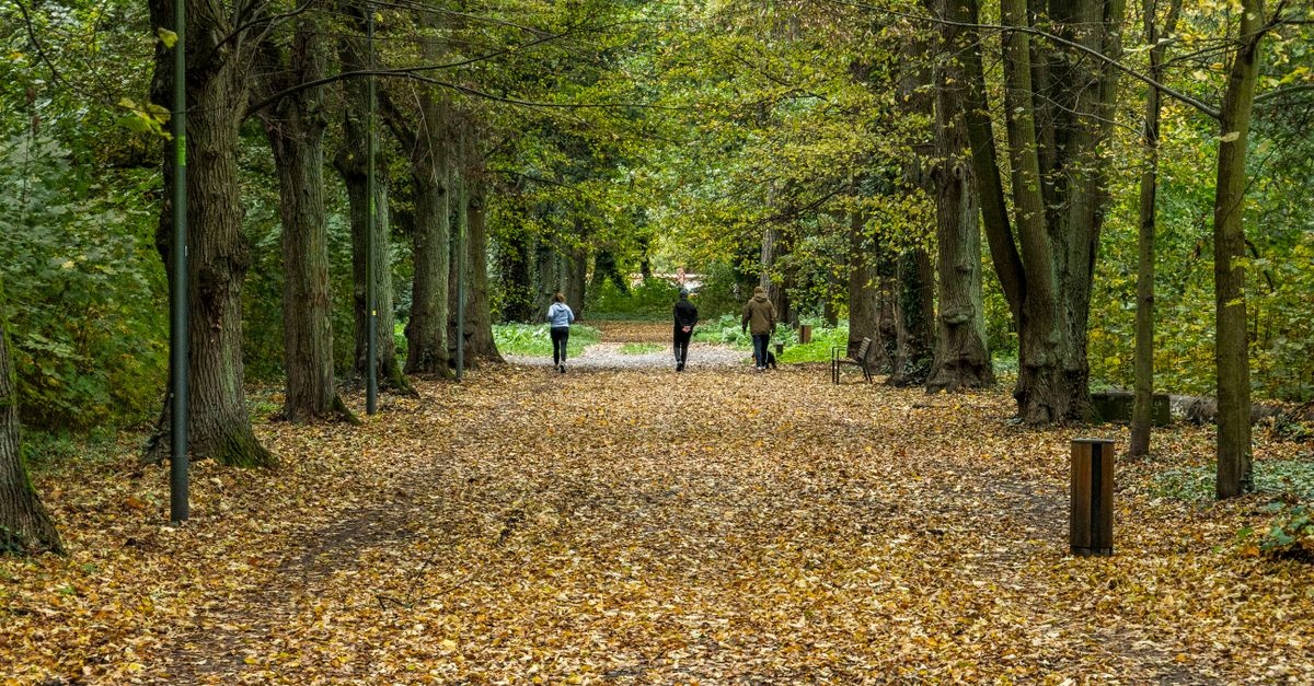 Każdy krok ma znaczenie: jak codzienne spacery wzmacniają zdrowie i samopoczucie
